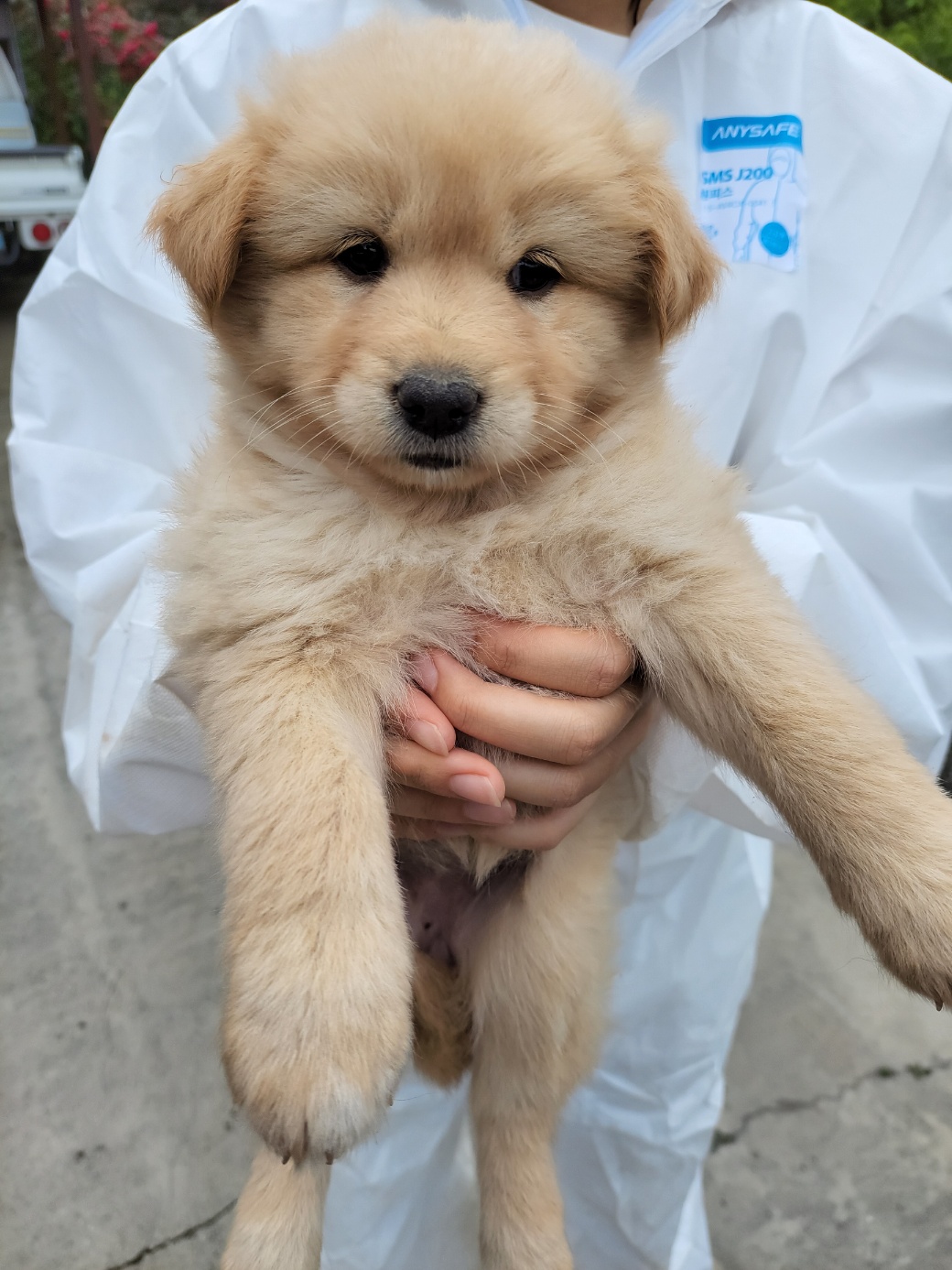 금일동물보호센터_444460202300528